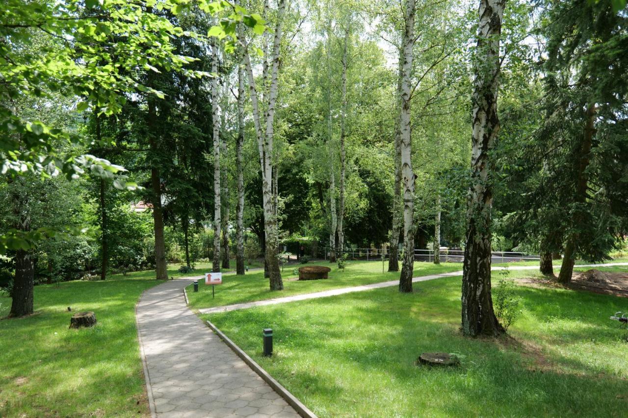 Penzion Harmony Javornik Ctyrkoly Екстериор снимка